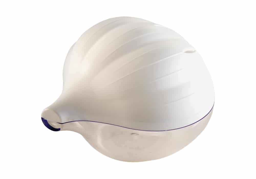 Snips Garlic Saver / Container Stuff for the Kitchen