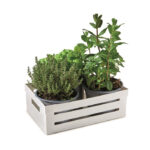 Kitchen Box 5L Storage Container - Image 5