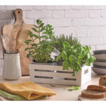 Snips Kitchen Box 5L - Image 9